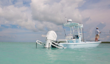 Power-Pole Blade Edition Dual 10' Shallow Water Anchors with ONE Pump